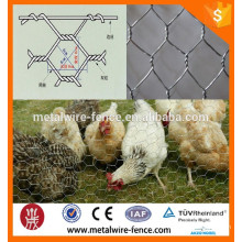 Galvanizado pvc revestido Hexagonal Wire Mesh (fio de frango) (ISO9001: 2000)